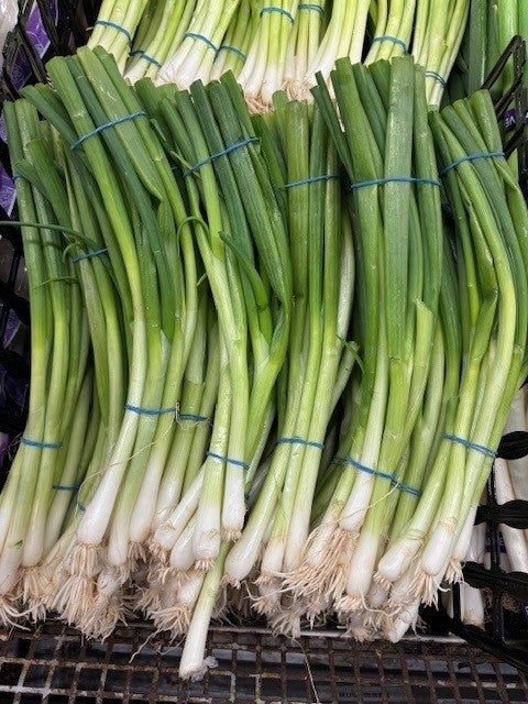 Bundles of green onions in a grocery store display.