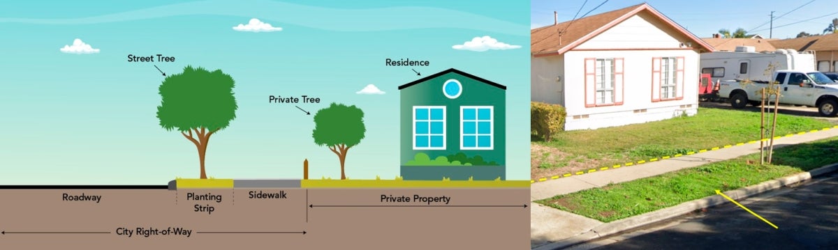 planting strip rendering and photo