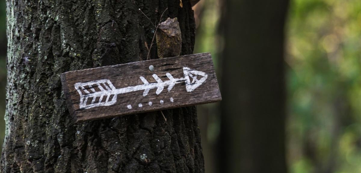 Wooden sign with white painted arrow hanging on a tree