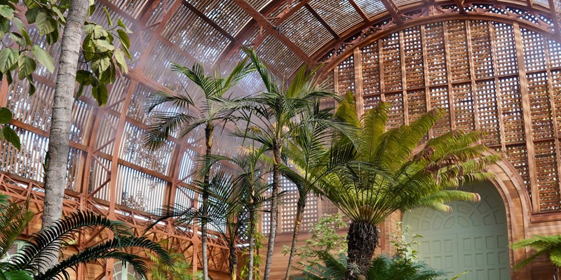 Botanical garden