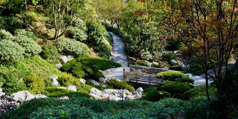 Japanese Friendship Garden at Balboa Park