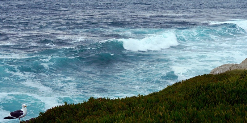 La Jolla Cove Waves