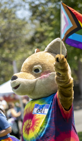 Odi the Coyote holding a Progressive Pride Flag wearing a tie-dye shirt.