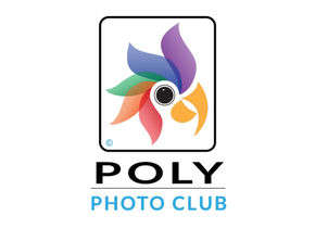 Stylized parrot head logo with multi-color feathers centered on a white background with the text "Poly Photo Club" in sans-serif font underneath.