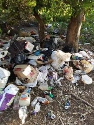 Trash piled under trees, illegal dump
