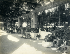 Floral Exhibition