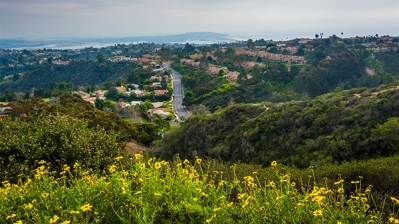 Scenic view of La Jolla hillside neighborhood