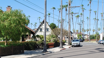 Houses along a street lined with palm trees