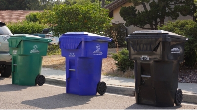 Trash bins along a curb