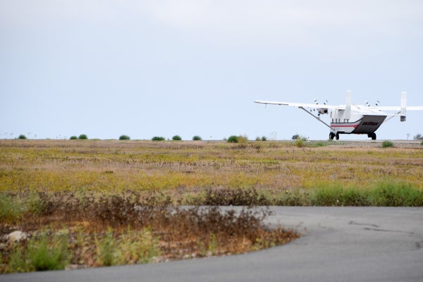 Plane on runway and foliage