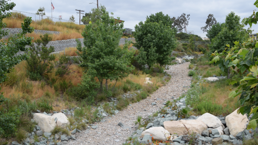 walkway surrounded by grass&#44; trees and rocks