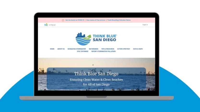Computer screen showing Think Blue Website 