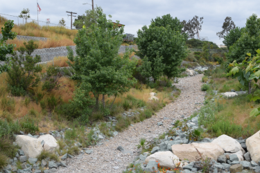 walkway surrounded by grass, trees and rocks