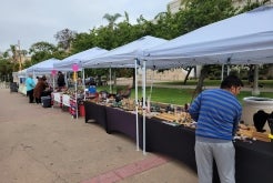 sidewalk vendors san diego