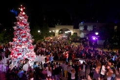 December Nights tree