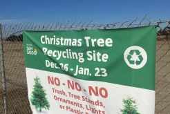 Christmas Tree recycling program