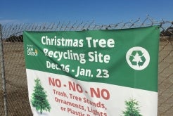 Christmas Tree recycling program