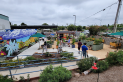 garden with a mural wall and accessible garden beds, benches and shade coverings