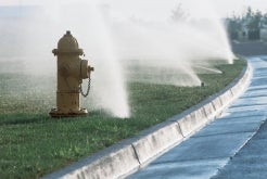 Sprinklers on lawn 