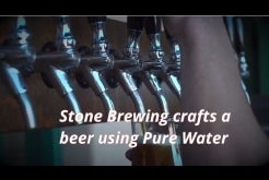 Pure Water Pure Brew
