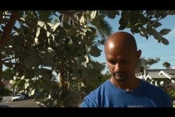 City of San Diego Climate Action Plan