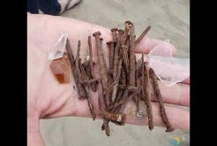 4th of July Beach Reminders