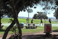 San Diego's Urban Forest