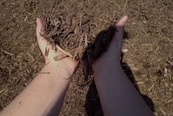 City Offers Free Ground Cover for Fire Victims