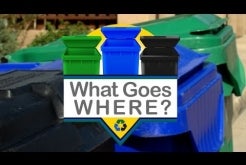 What Goes Where at the MRF