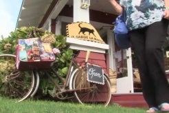 Support for Small Business Saturday