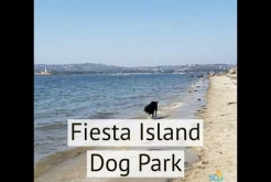 #FindYourHappySpace San Diego Dog Parks