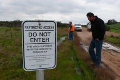 Miramar Landfill Vernal Pools