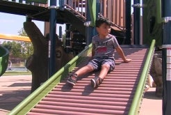 Transformation of Wightman Street Park