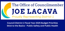 Council District 1 Fiscal Year 2025 Budget Priorities