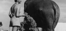 1935-36 California Pacific Exposition&#44; Gretta Grant with Elephant