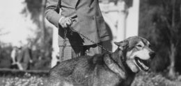 1935-36 California Pacific Exposition&#44; Lee Duncan with Rin Tin Tin&#44; Jr.