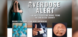 Overdose Alert