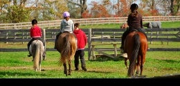 Canyonside Equestrian Center RFP