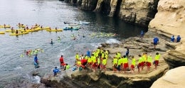 junior lifeguards rocks day