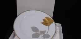 White China Plate with Gold Rim and Flower