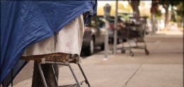 Photo of tarp covered shopping cart