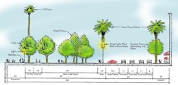 Illustration of streetscape with trees