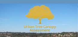 Urban Canopy Story Map 