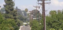 Utility Poles
