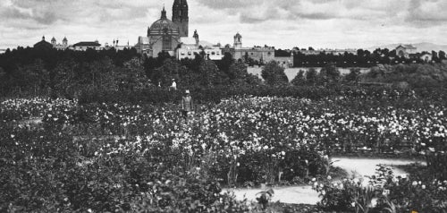 1915-16 Panama California Exposition West Garden