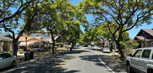 Urban Forestry
