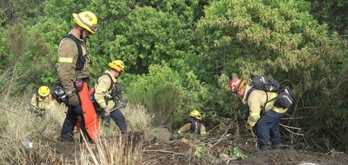 Wildland Management and Enforcement