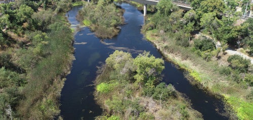 Floodplain Review Status