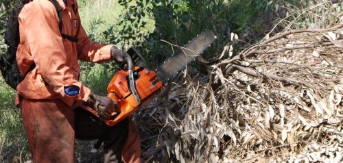 Open Space Parks Brush Management Program