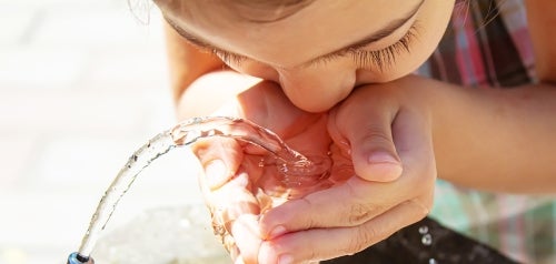Extreme Heat Action Plan